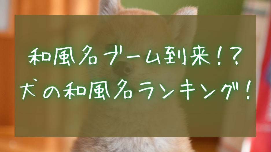 【犬の名前】和風名ブーム到来!? 犬の和風名ランキング! - イヌとわたし - イヌとの暮らしを考えるメディア