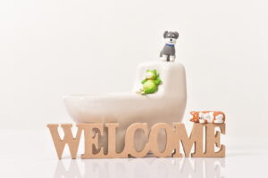 【初心者必見】犬のトイレトレーニング入門 。これを気をつければ大丈夫 !