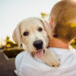 犬がかわいいのはなぜ? 自分に合うのはどの犬種?