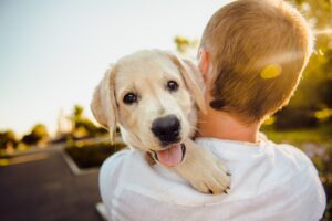 犬がかわいいのはなぜ? 自分に合うのはどの犬種?