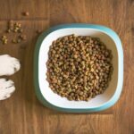 犬の餌とは?餌のさまざまな種類と手作りの方法