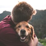 犬の名前はどう付ける?人気の犬の名前ランキングを紹介