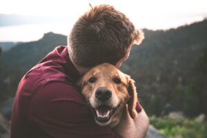 犬の名前はどう付ける?人気の犬の名前ランキングを紹介