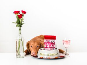 愛犬のご飯を手作りしたい人へ!失敗しない3つのポイント