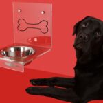 愛犬に快適な食器を選ぼう!