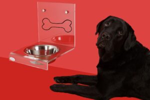 愛犬に快適な食器を選ぼう!