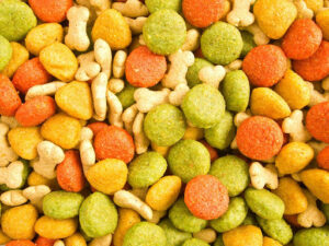 市販のドッグフードオススメ3選!