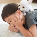 赤ちゃんと犬の同居のタイミング、仲良くなるコツは？