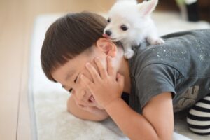 赤ちゃんと犬の同居のタイミング、仲良くなるコツは?
