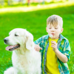 犬アレルギー? 子どもが犬アレルギーの時考えること