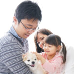 知っておきたい! 保健所に収容された犬や猫の現状と助け方