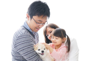 知っておきたい！ 保健所に収容された犬や猫の現状と助け方