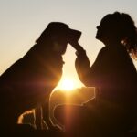 成犬のトイレトレーニングのやり方