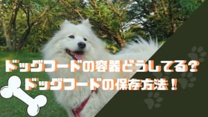 ドッグフードの容器と保存方法♪