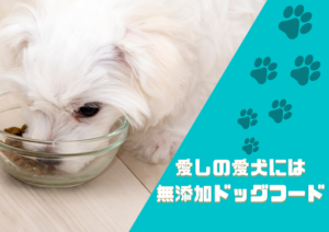 愛しの愛犬には無添加ドックフードを!