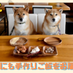 愛犬にも手作りご飯をお届け!