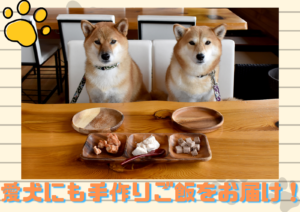 愛犬にも手作りご飯をお届け！