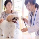 オス犬の去勢はしたほうがいい? メリット・デメリットについて