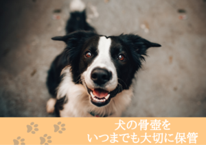 犬の骨壺をいつまでも大切に保管