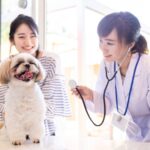 犬の避妊手術のデメリットとは? 手術あり・なしでのリスク3点を解説