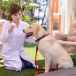 犬の去勢、避妊手術の違いは？ なぜ行うの？ メリット・デメリット