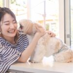 犬の耳掃除をした方が良い理由は？ その頻度は？解説します！