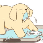 犬がトイレシートを食べるのはなぜ？ 理由と3つの対策を解説