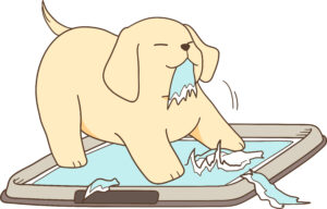 犬がトイレシートを食べるのはなぜ？ 理由と3つの対策を解説