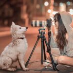 犬のかわいい動画を撮影するには? コツやおすすめアプリ紹介!