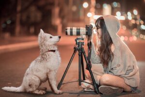 犬のかわいい動画を撮影するには? コツやおすすめアプリ紹介!