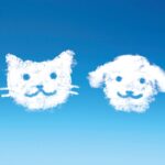 犬・猫の可愛さの秘訣は??