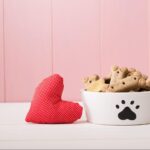 【犬の餌の人気ランキング】おすすめドッグフードと選び方