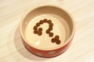 犬の自動給餌器って何?