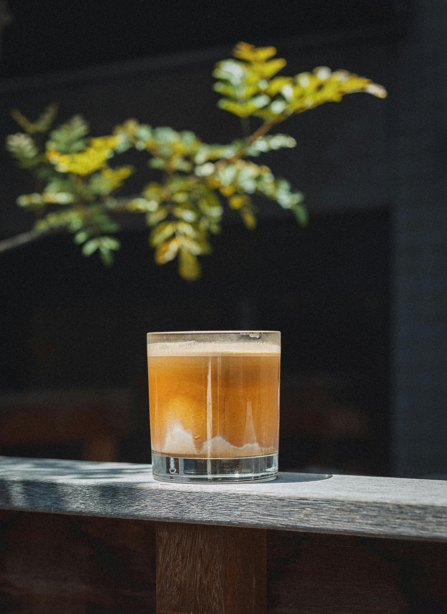 トイレしつけが身についた後の維持と応用