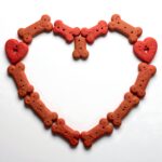 失敗しないドッグフード選び 口コミと注意点5つ