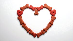 失敗しないドッグフード選び 口コミと注意点5つ