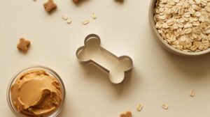 ドッグフードをふやかす前に！絶対に守る5つの安全ルール