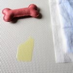 【しつけ】 しつけ 老犬 トイレ しつけで失敗しない5つのコツ