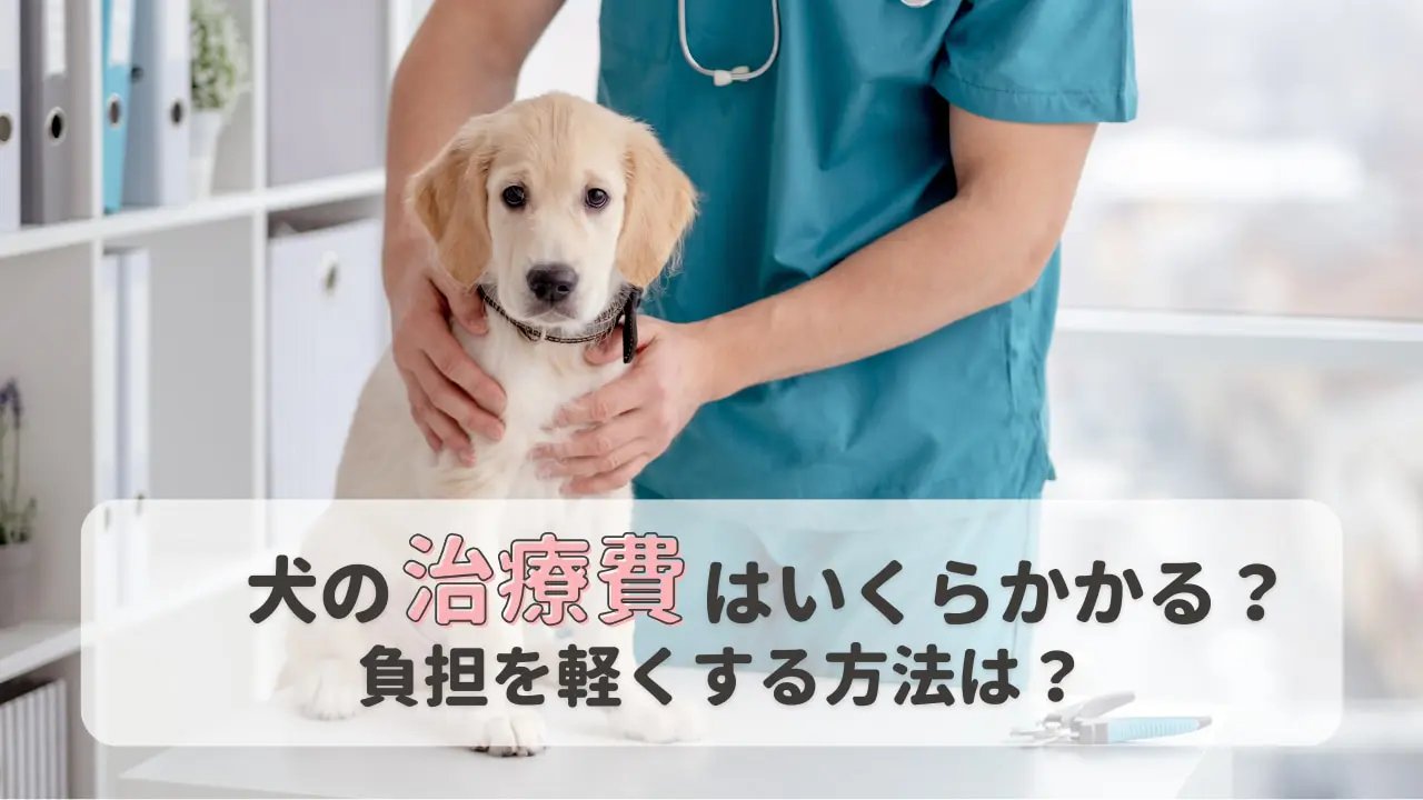 治療費の目安とペット保険の活用ポイント