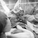 犬の耳の病気サイン12種｜手遅れ防ぐ対処法