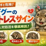 犬が猫背は病気のサイン？絶対に見逃さない5つのチェック