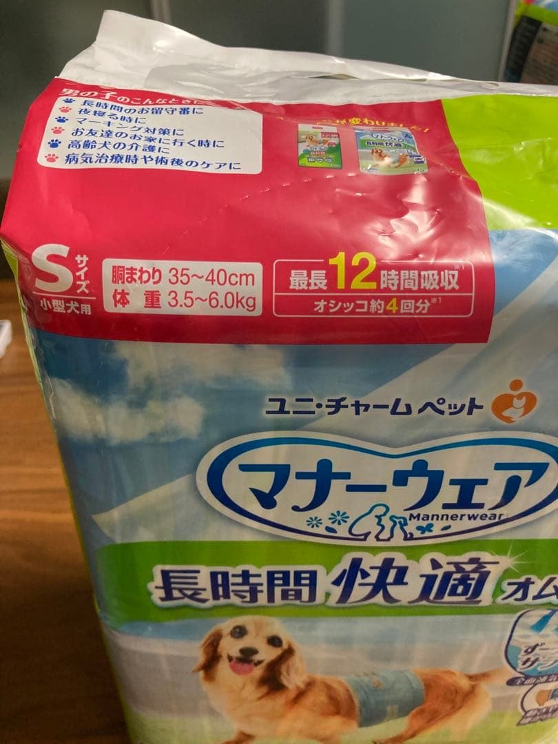 犬が猫背のように背中を丸めるときの状態とは