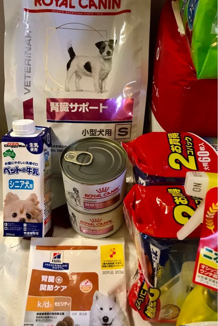 病気別に考えるドッグフードと食事管理のポイント