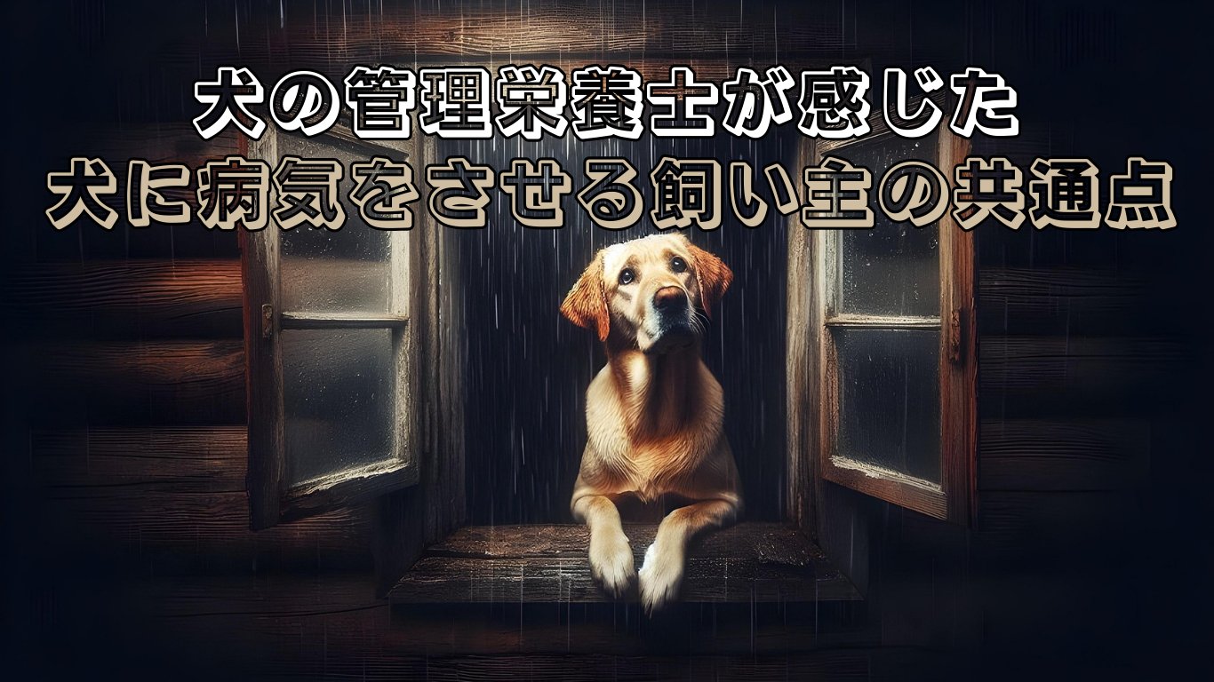 病気に便乗したドッグフードの悪質な売り方に注意