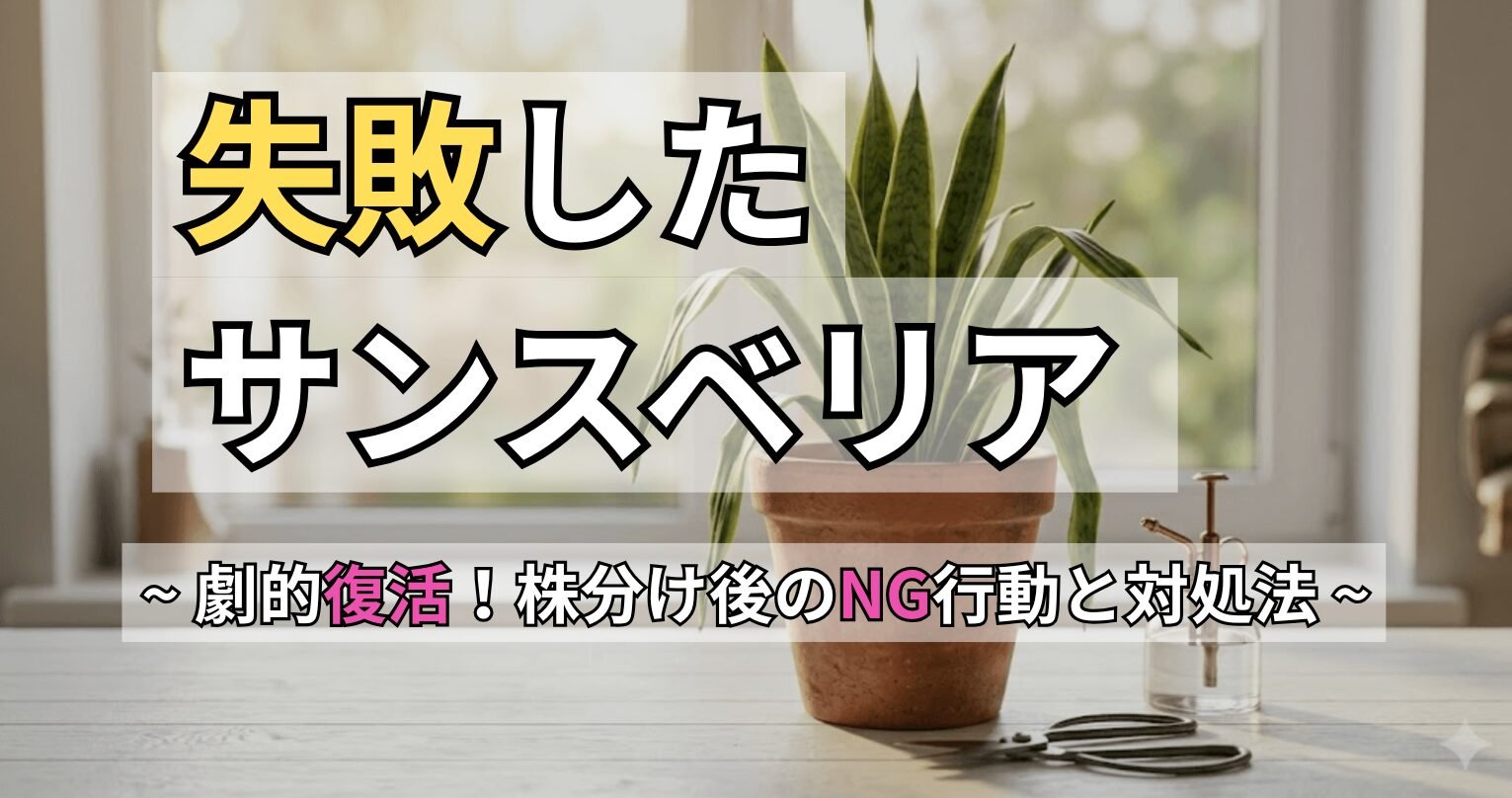 自宅でできる安全な対処法とNG行為