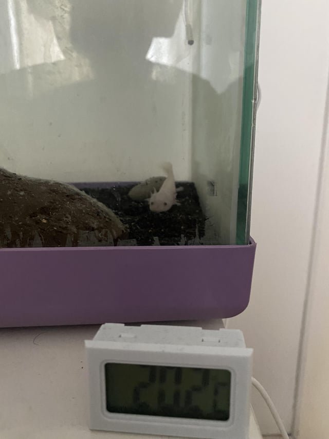 飼い主から多い質問と病気とフードに関する誤解