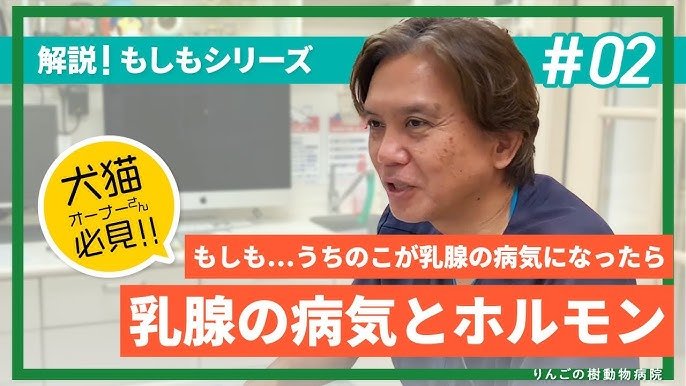 手術を迷っている飼い主さんのための判断軸