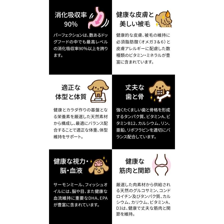 評判の良いフードを試すときの進め方