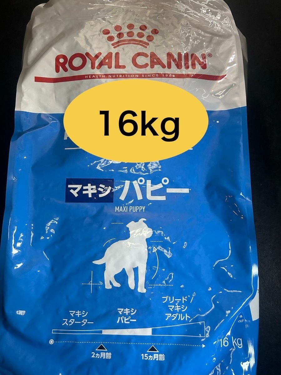 子犬のふやかしご飯をやめるタイミングと切り替え方