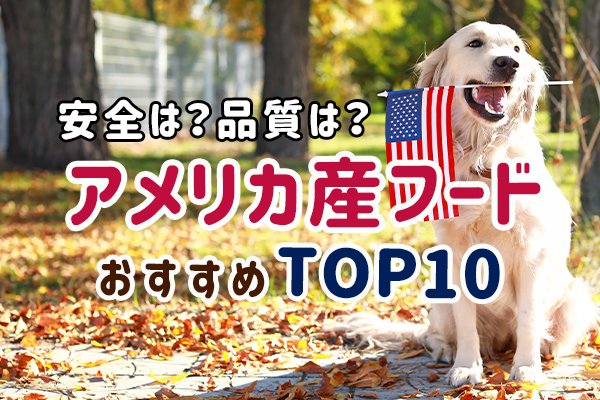 アメリカ産ドッグフードの安全性と注意点